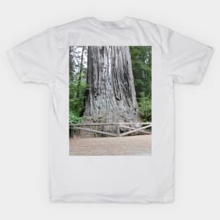 Redwoods California Nature Photography Pacific Northwest T-Shirt